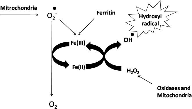 Fig. 3