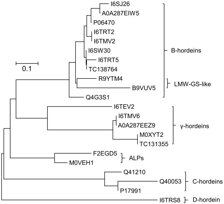 FIGURE 2