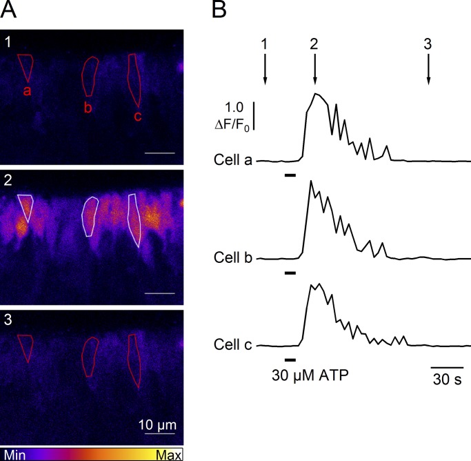 Figure 7.