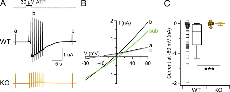 Figure 8.