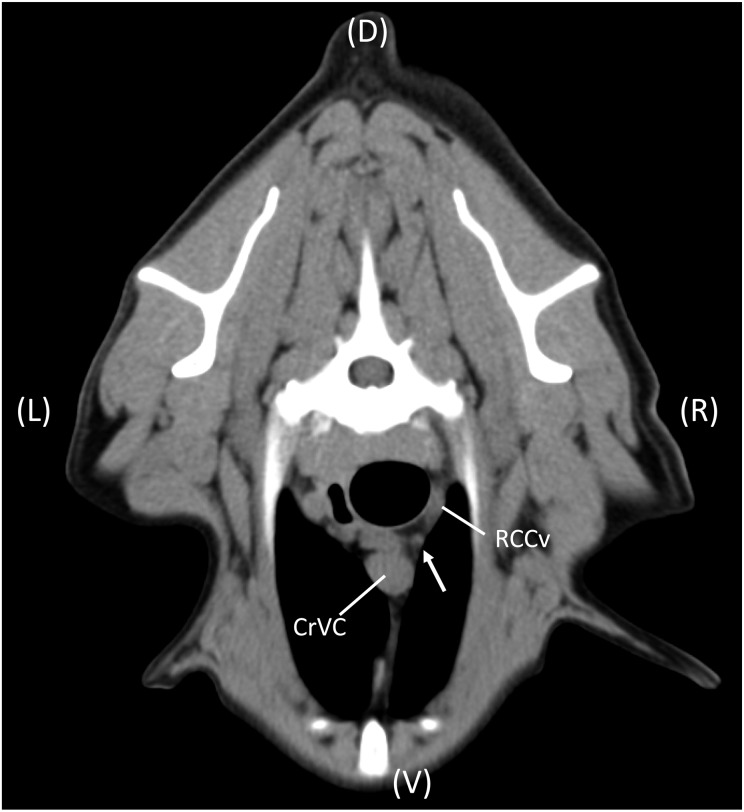 Fig. 5.