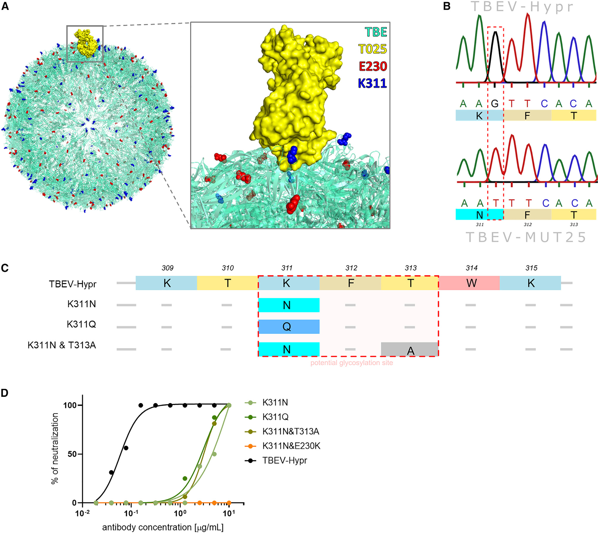 Figure 3.