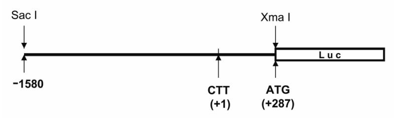 Figure 4A