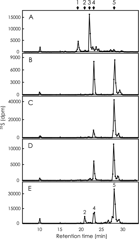 FIGURE 4.