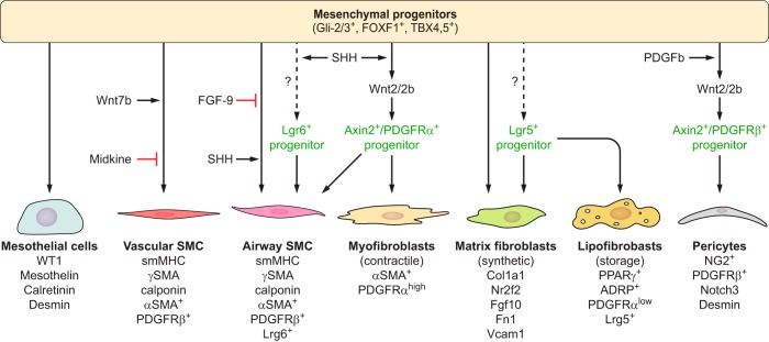 FIGURE 16.