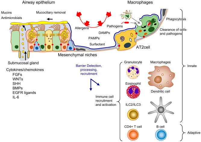 FIGURE 13.