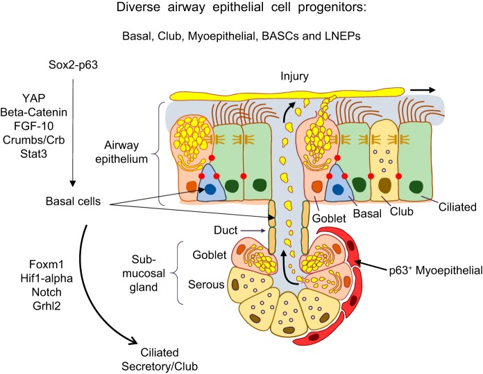 FIGURE 12.