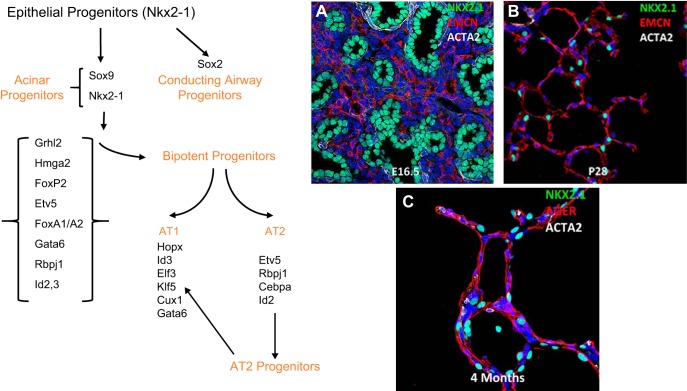 FIGURE 10.