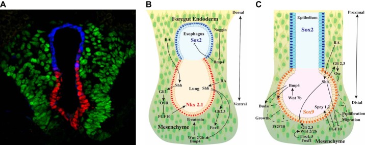 FIGURE 6.