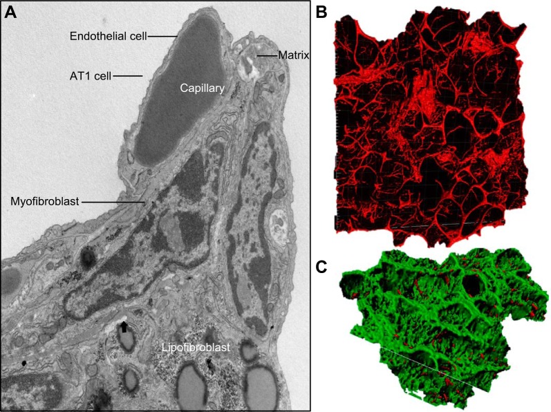 FIGURE 17.