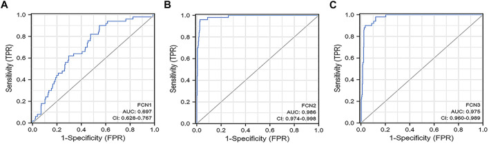 FIGURE 4