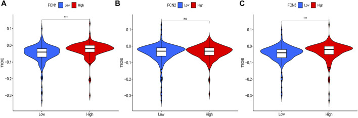 FIGURE 11