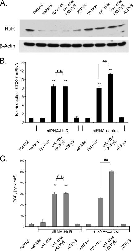 Figure 10.