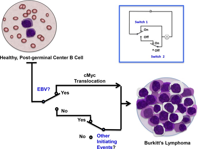 Fig 1