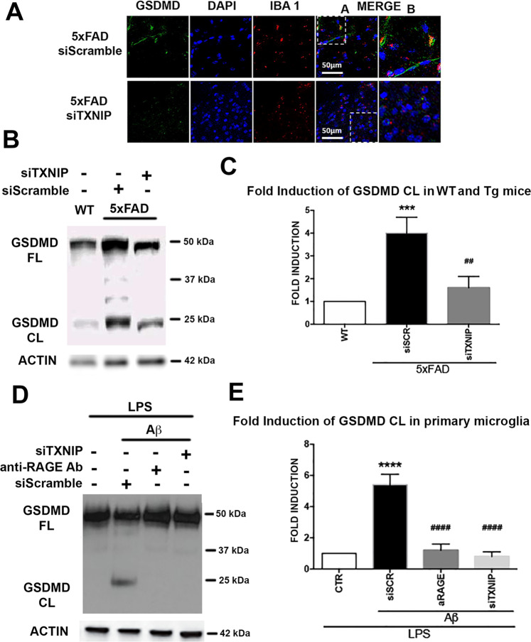 Fig. 6