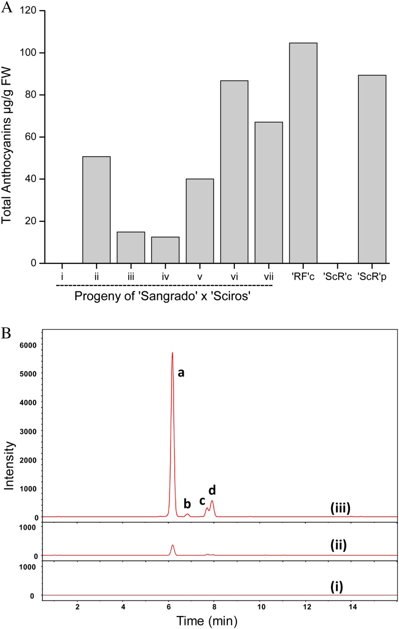 Figure 5.