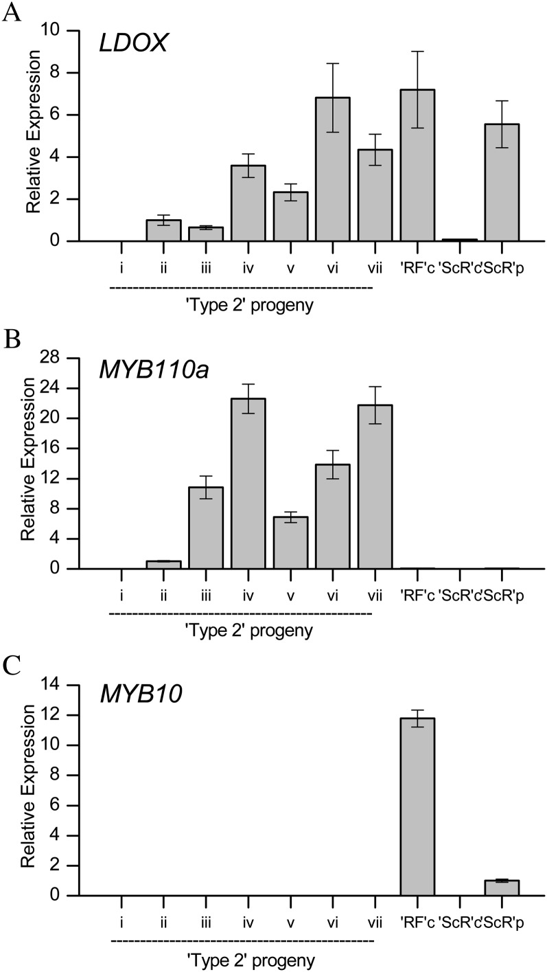 Figure 6.