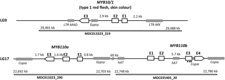 Figure 3.