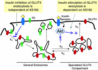 Figure 10.