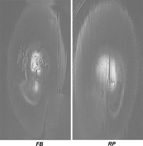 Fig. 3