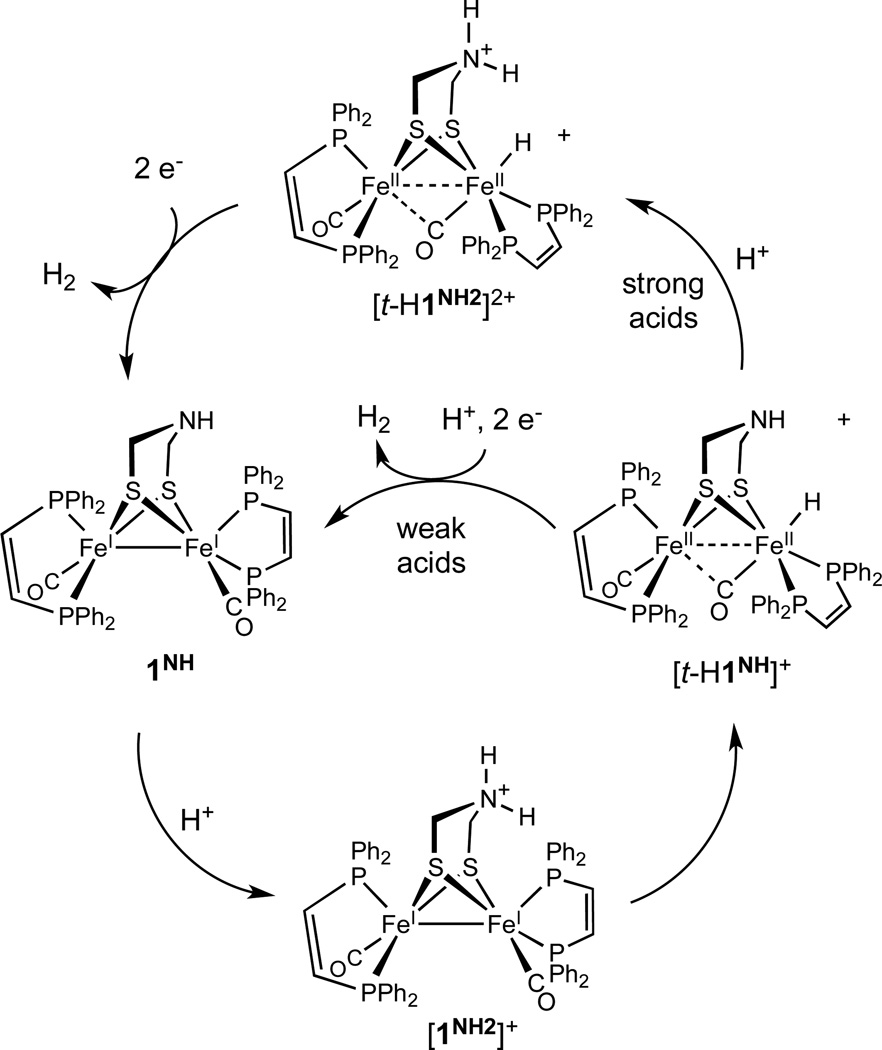 Scheme 3