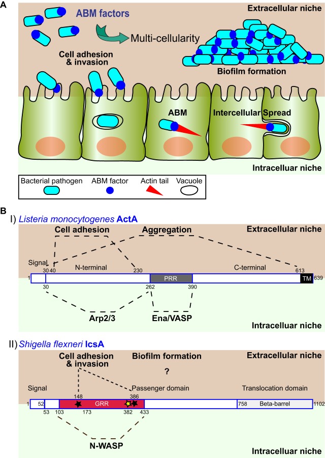 FIG 1