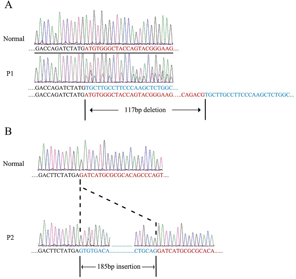 Figure 4.