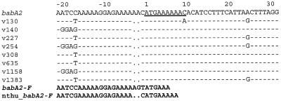 FIG. 1.