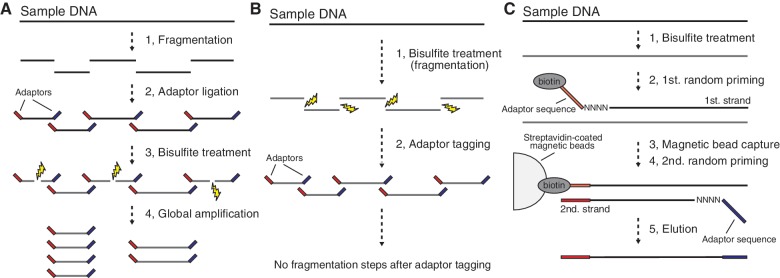 Figure 1.