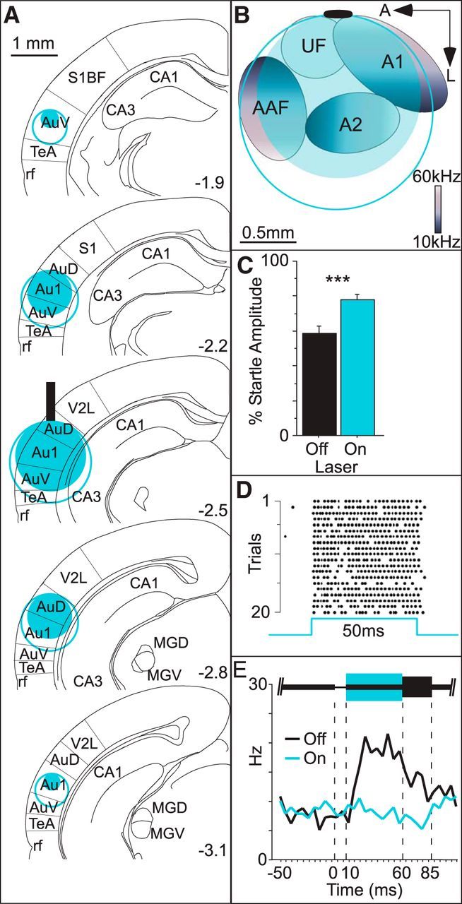 Figure 5.