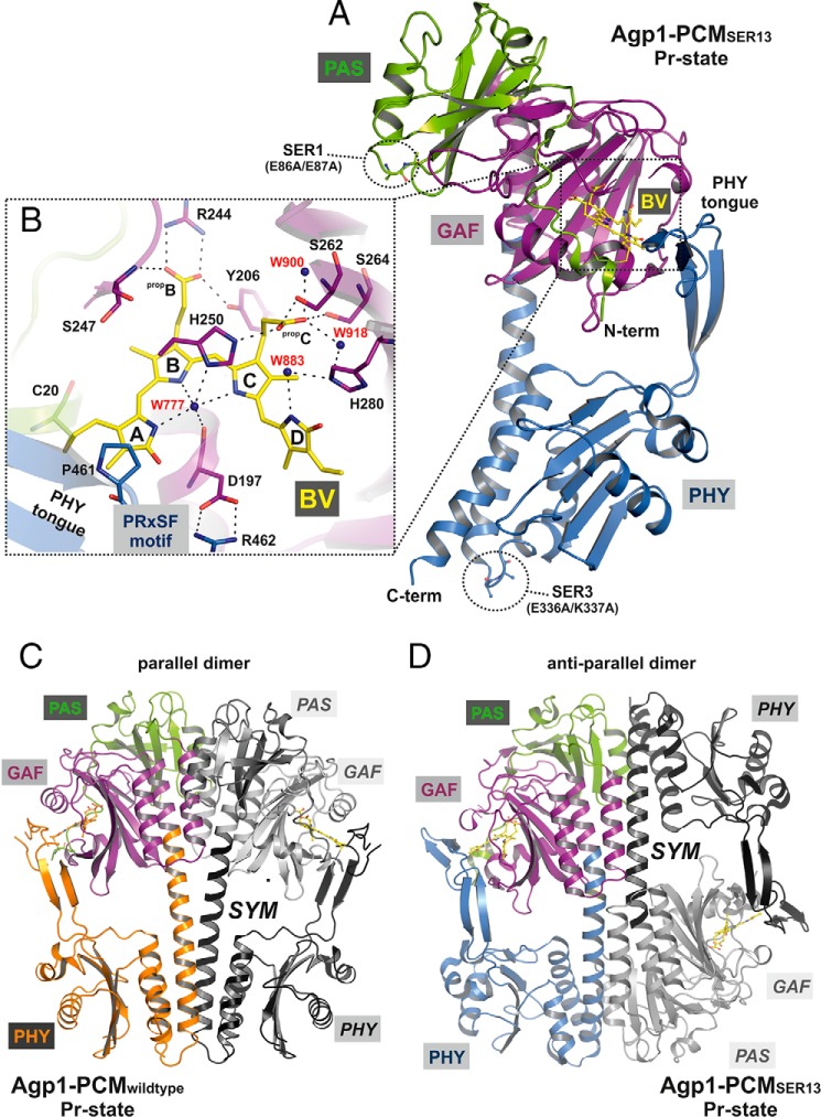 FIGURE 2.