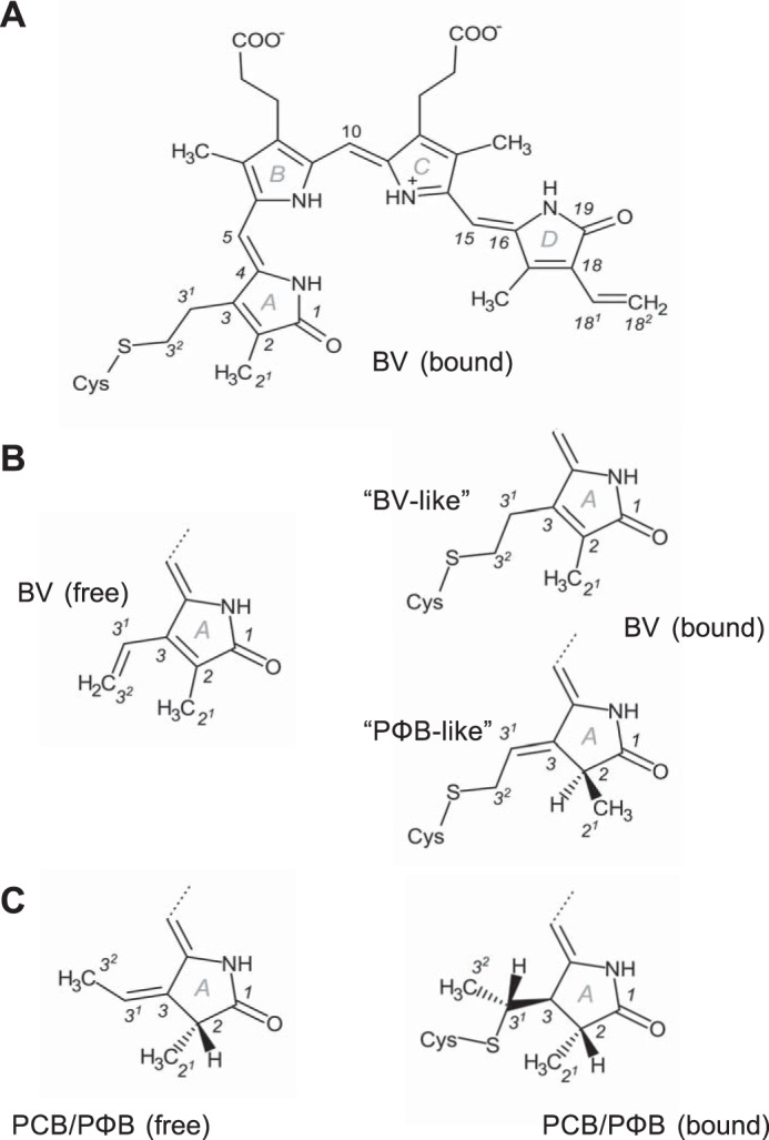 FIGURE 7.