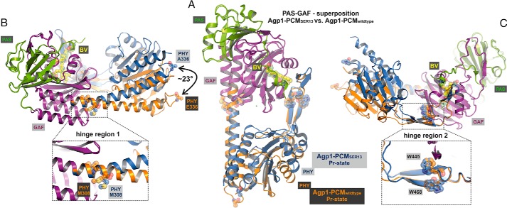 FIGURE 4.