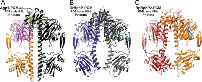 FIGURE 3.