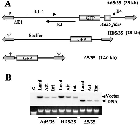 FIG. 1.