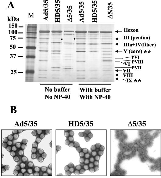 FIG. 8.