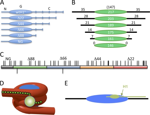 Fig. 1.