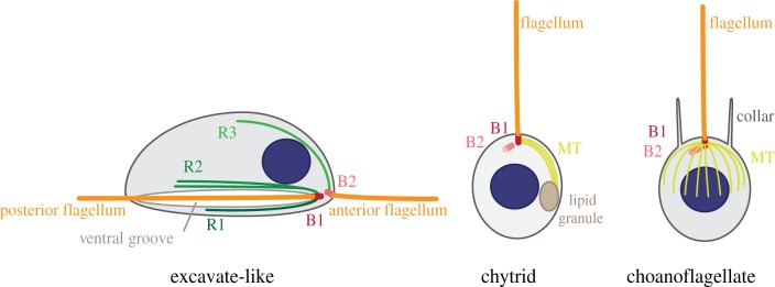 Figure 2.