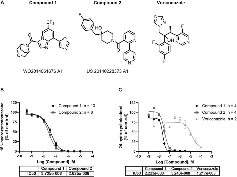 FIGURE 3