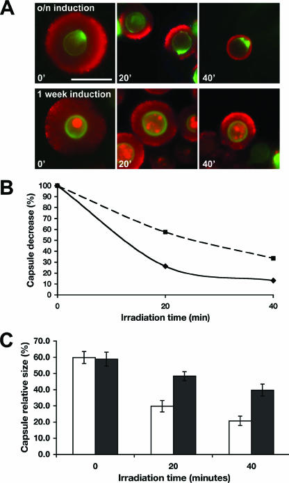 FIG. 9.