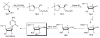 Scheme 18