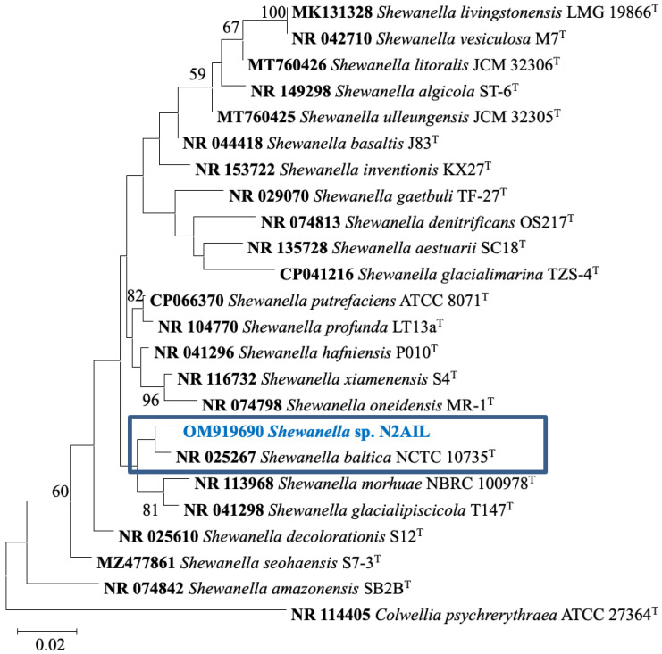 Figure 2