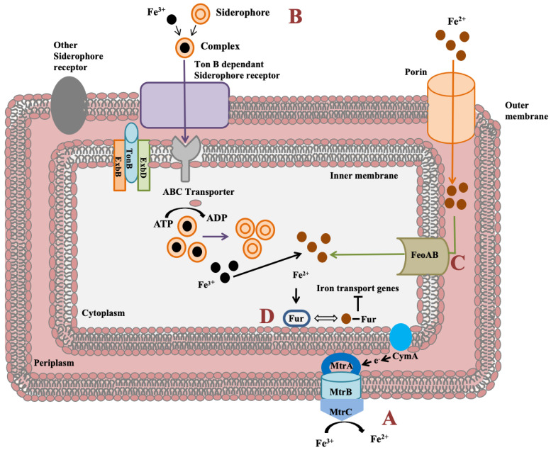 Figure 7