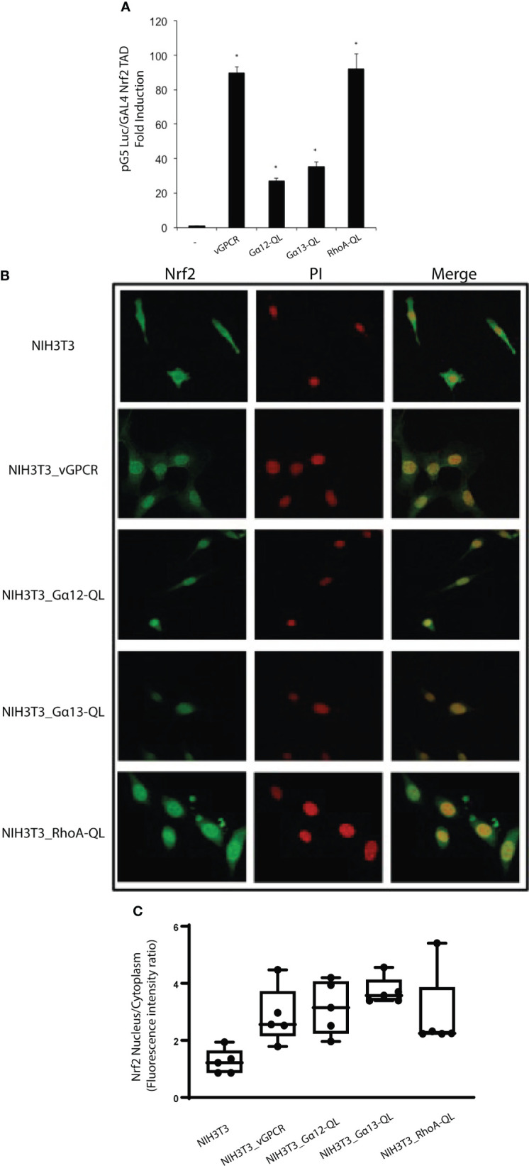 Figure 3