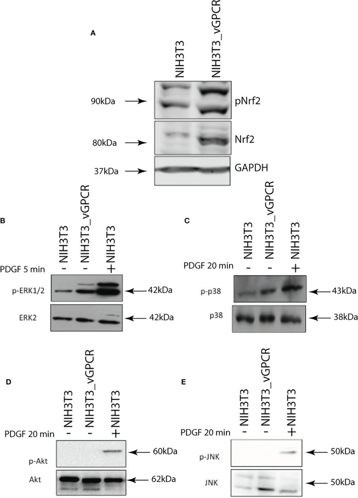 Figure 4