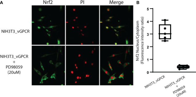 Figure 6