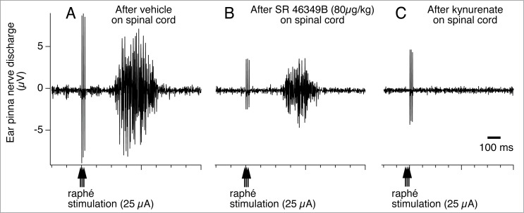 Figure 15.