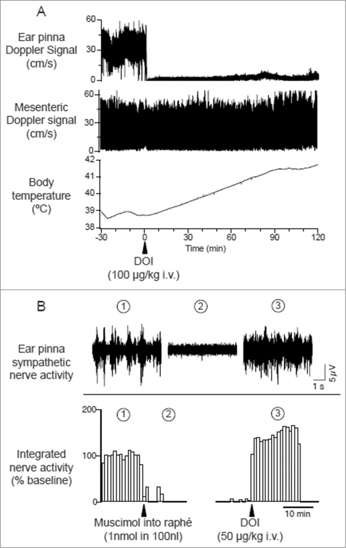 Figure 14.