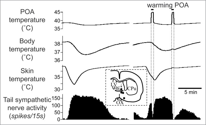 Figure 5.