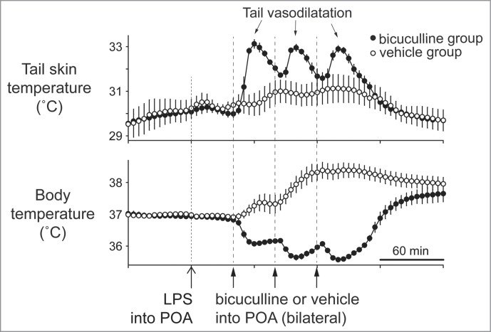 Figure 11.